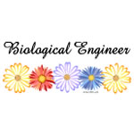 Biological Engineer Asters