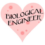Biological Engineering Heart