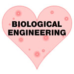 Biological Engineering Heart
