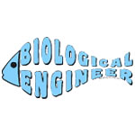 Blue Engineer Fish