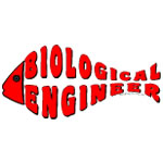 Red Engineer Fish
