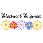 Electrical Engineer Asters