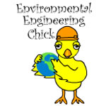 Environmental Engineering Chick