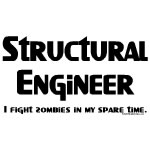 Structural Engineer Zombie Fighter